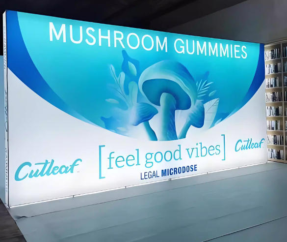 便携拉网展架折叠灯箱发光背景墙快幕秀灯箱LED灯箱国外展会灯